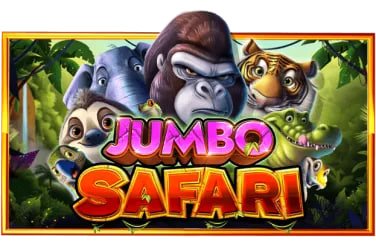 jeetbuuz